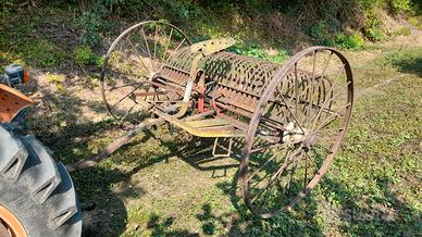 Vecchio rastrellone  per abbellire giardino