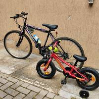 bicicletta