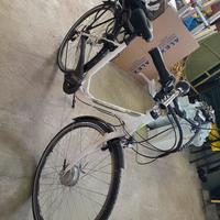 bici omologata made italy flli schiano 