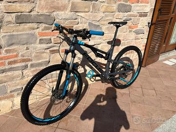 Focus spine 27.5