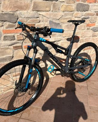Focus spine 27.5