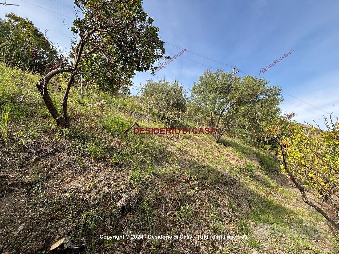 Terreno, Cefalù. - Vista 4