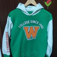 Felpa invernale Washington College
