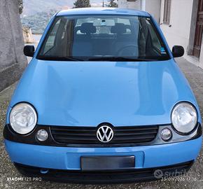 W lupo 1.0 MPI 