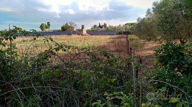 Terreno agricolo in San Cesario di Lecce