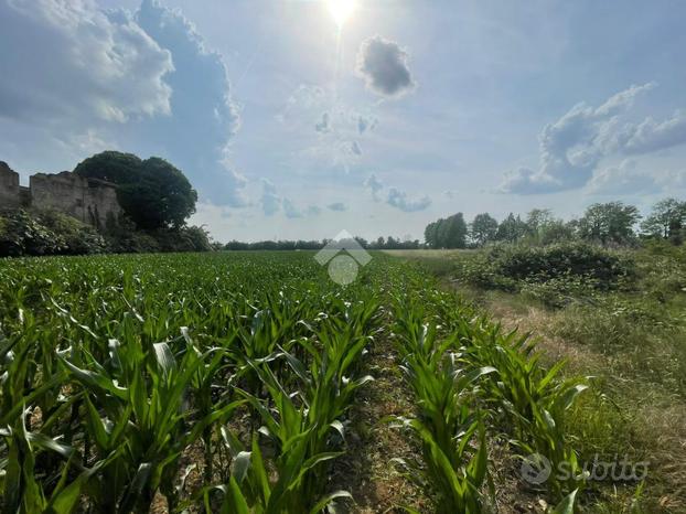 TER. AGRICOLO A OSPITALETTO