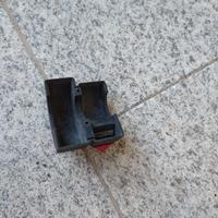 Cover Benelli, moto Guzzi 