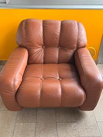 Poltrone in pelle