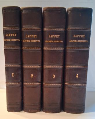 Trattato di Anatomia Descrittiva - M. P. C. Sappey