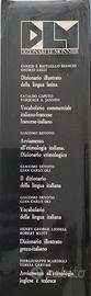 dizionario lingua italiana 