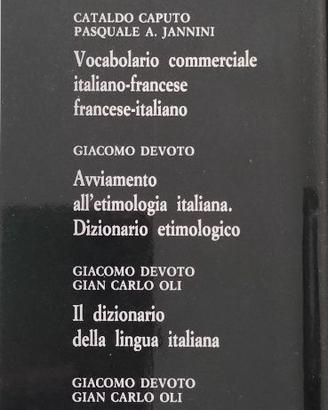 dizionario lingua italiana 