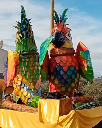 Carro carnevale Brasile 500 TRATTABILI