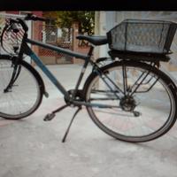 bici elettrica 
