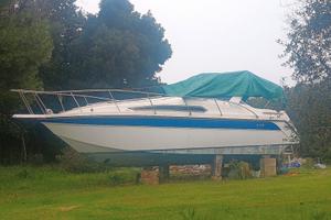 BARCA americana Thompson Santa Cruz 31 