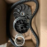 Variatore Malossi SH300