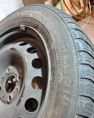 cerchi panda serie 3 R14