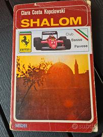 Shalom Clara Costa Kopciowski 