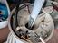 Immagine 2
