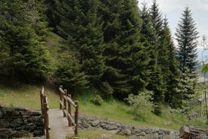 Piccola baita per vacanze in montagna