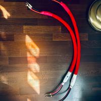 CABLELESS CRUISER 1 MT (L+R) Cavo potenza hi-end