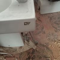 wc e bidet Pozzi Ginori