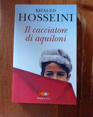 il cacciatore di aquiloni