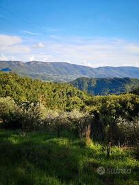 Terreno con annesso a Migliana