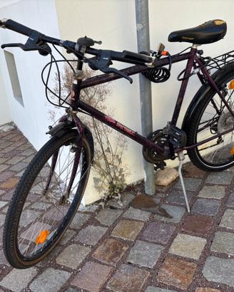 Bicicletta