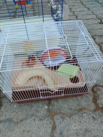 Gabbia per criceto 