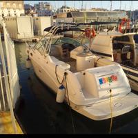 barca semi cabinata Sea Ray Amberjack 270