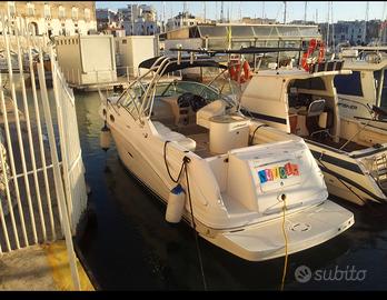 barca semi cabinata Sea Ray Amberjack 270