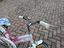 Immagine 2