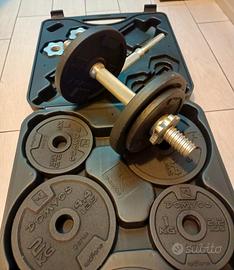 kit manubri palestra 