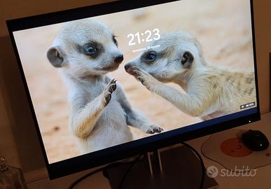 Monitor HP