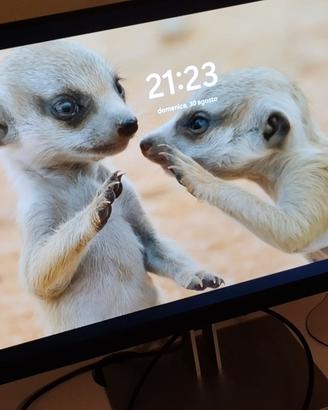 Monitor HP