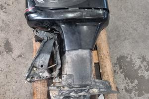 mercury  optimax 135