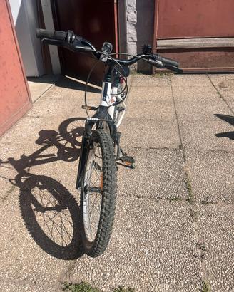 Bici rockraider 20”