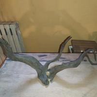legno decorativo acquario