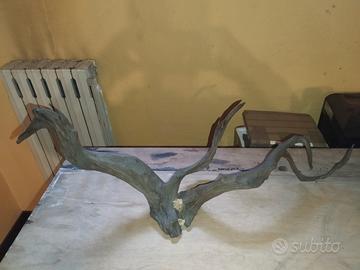 legno decorativo acquario