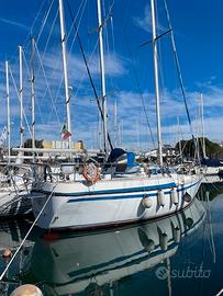 Alb Sail 39