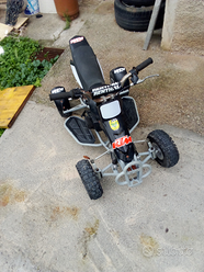 Quad usata in vendita in Veneto e vicinanze