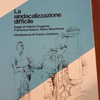 La sindacalizzazione difficile 
