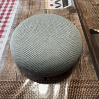 Google home mini