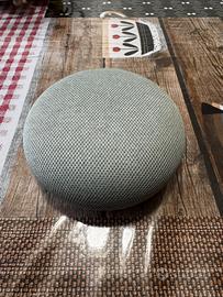 Google home mini