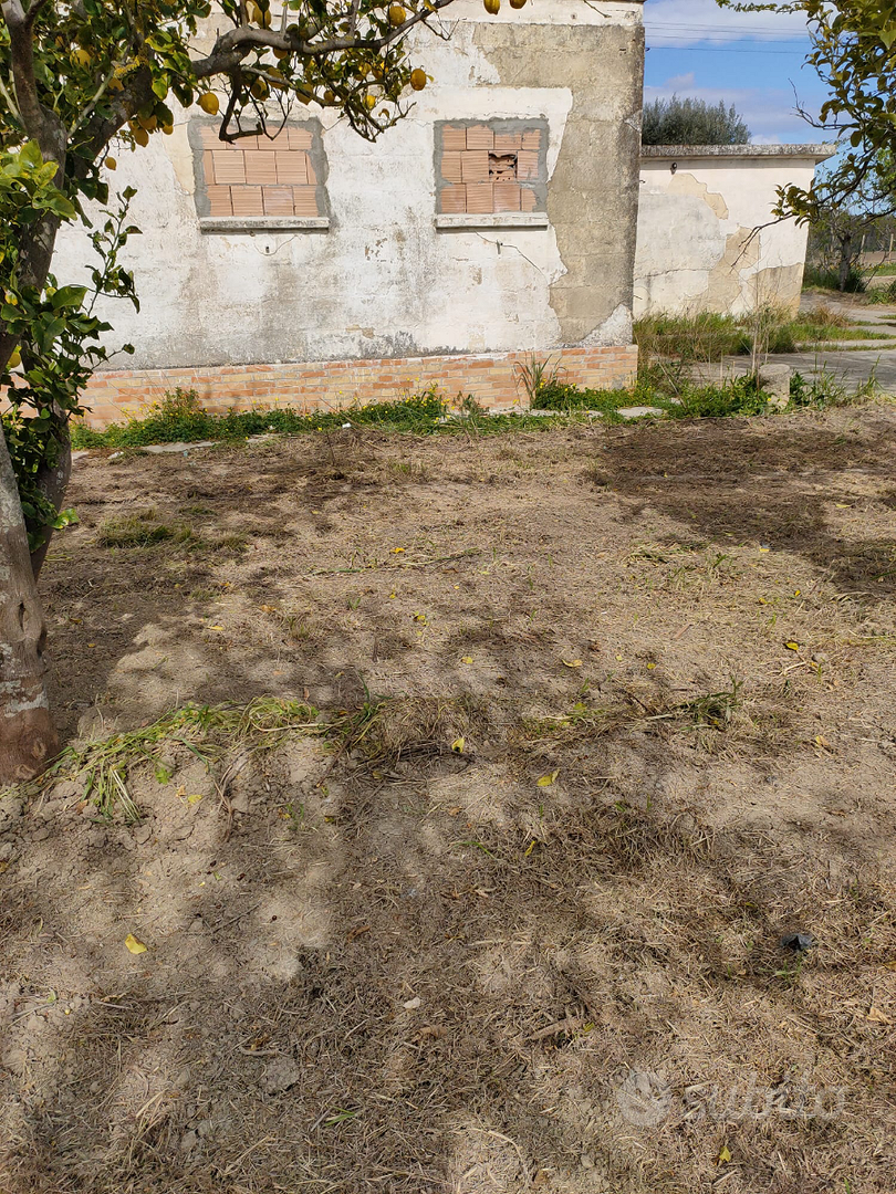 Terreno con rustico da ristrutturare - Vista 5