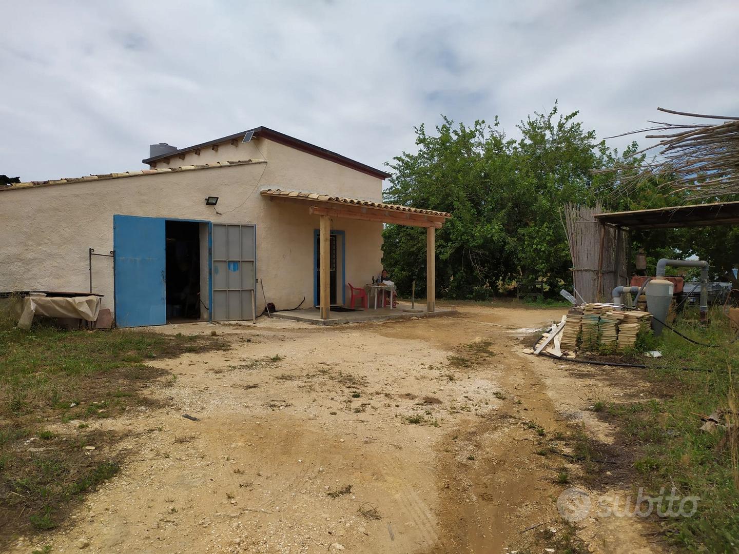 Azienda agricola bio 6 ha con pozzo e fabbricato - Vista 2