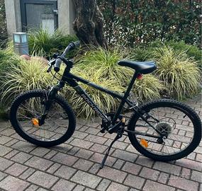 Bicicletta