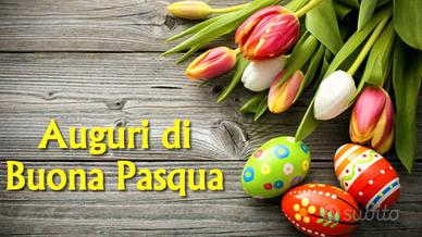 Promo Pasqua 206 Appartamenti da 2 a 6 posti