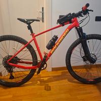 bici Mountain bike 