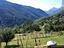 Immagine 9
